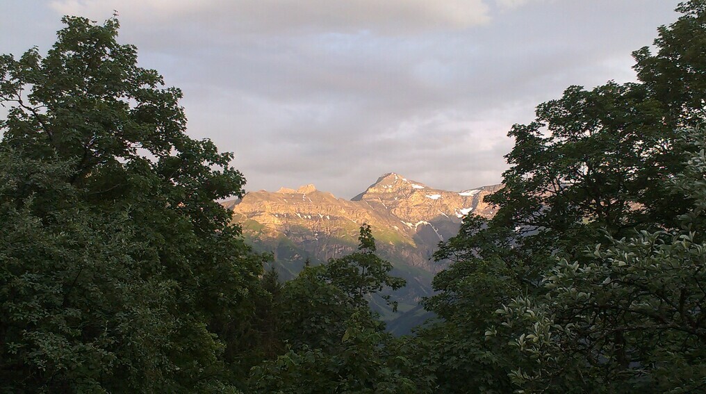 Hausstock
