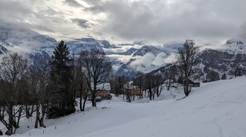 Winter